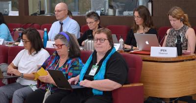 IPEN Co-Chair, Pamela Miller (front), and IPEN Advisors participate in the POPRC.