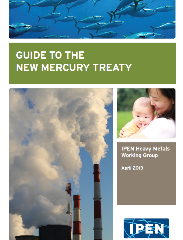 Guide New Hg Treaty