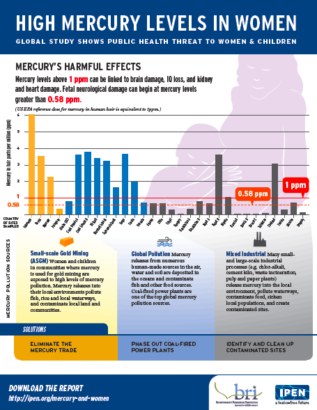 High Hg levels in Women infographic