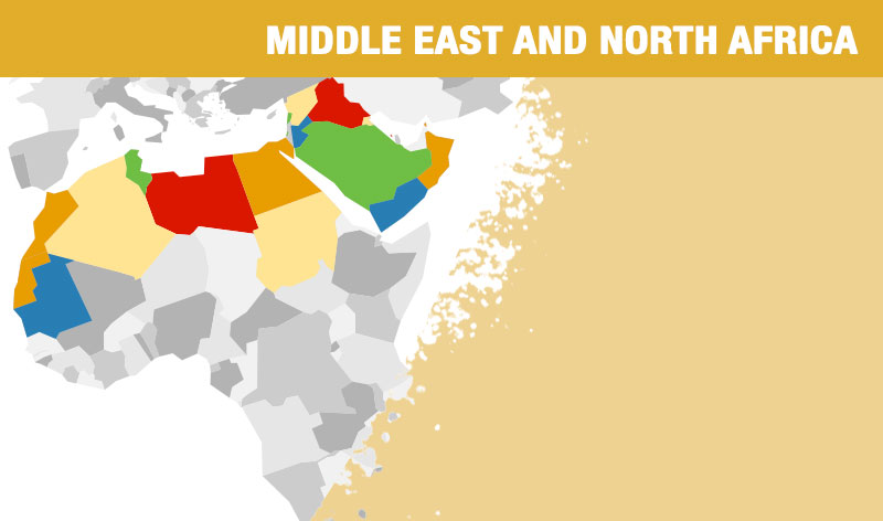 IPEN Middle East and North Africa