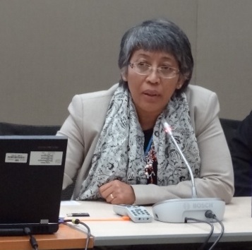 Yuyun Ismawati speaking at the mercury trade and supply side event 