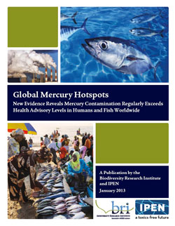 Global Mercury Hotspots Report Cover
