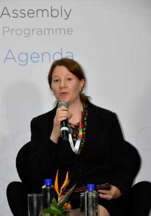 Sara Brosché speaking at the UNEA2 media event 