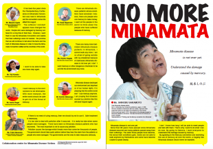 No More Minamata