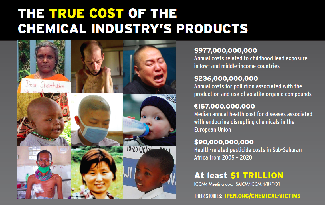 True Costs of the Chemical Industry's Products