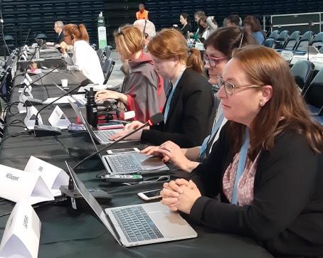 Alexandra Caterbow (HEJSupport, Germany) giving an intervention in plenary