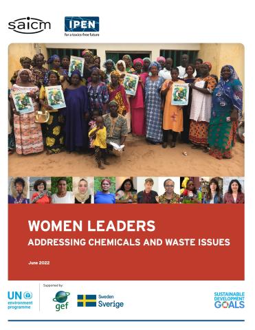 Women Leaders: Addressing Chemicals and Waste Issues cover