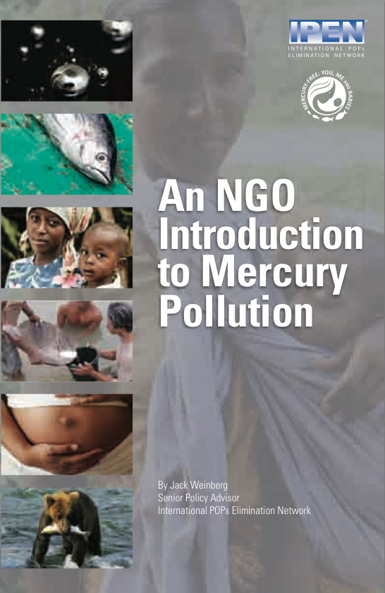 ipen_mercury_booklet_cover
