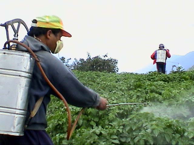 pesticide_spray1a