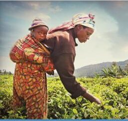 여성과 화학 물질과 지속가능발전목표