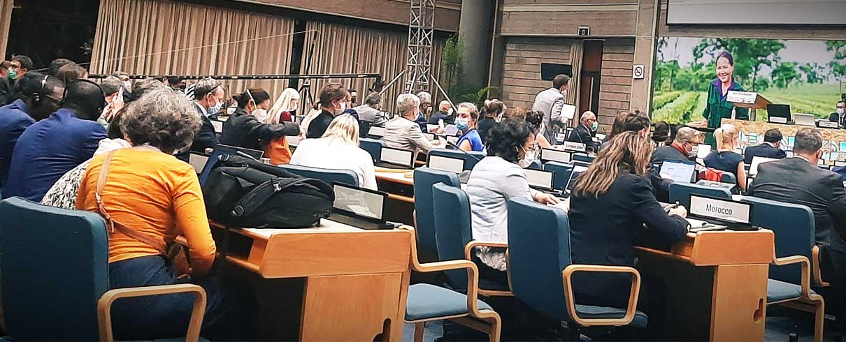 People sit in rows of blue chairs at desks in a conference room, facing a large screen displaying a woman speaking outdoors. Some people wear masks and several country nameplates are visible, including one marked Morocco.