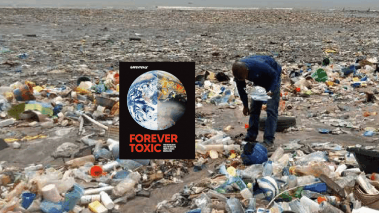 cover of Forever Toxic report over an image of a waste picker