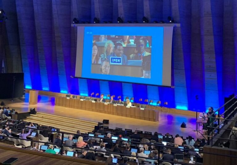the plenary hall with IPEN speaker on a large video screen