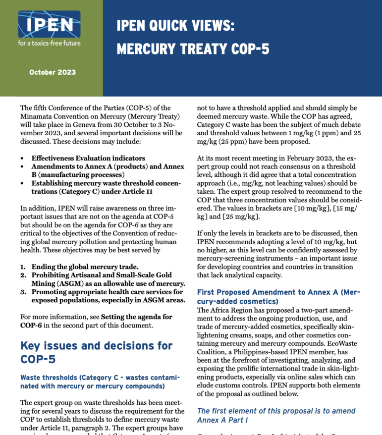 An informational flyer titled IPEN Quick Views: Mercury Treaty COP-5 outlines key issues for the 2023 meeting, including effectiveness evaluation and stricter mercury waste thresholds, with sections highlighted in blue and yellow.