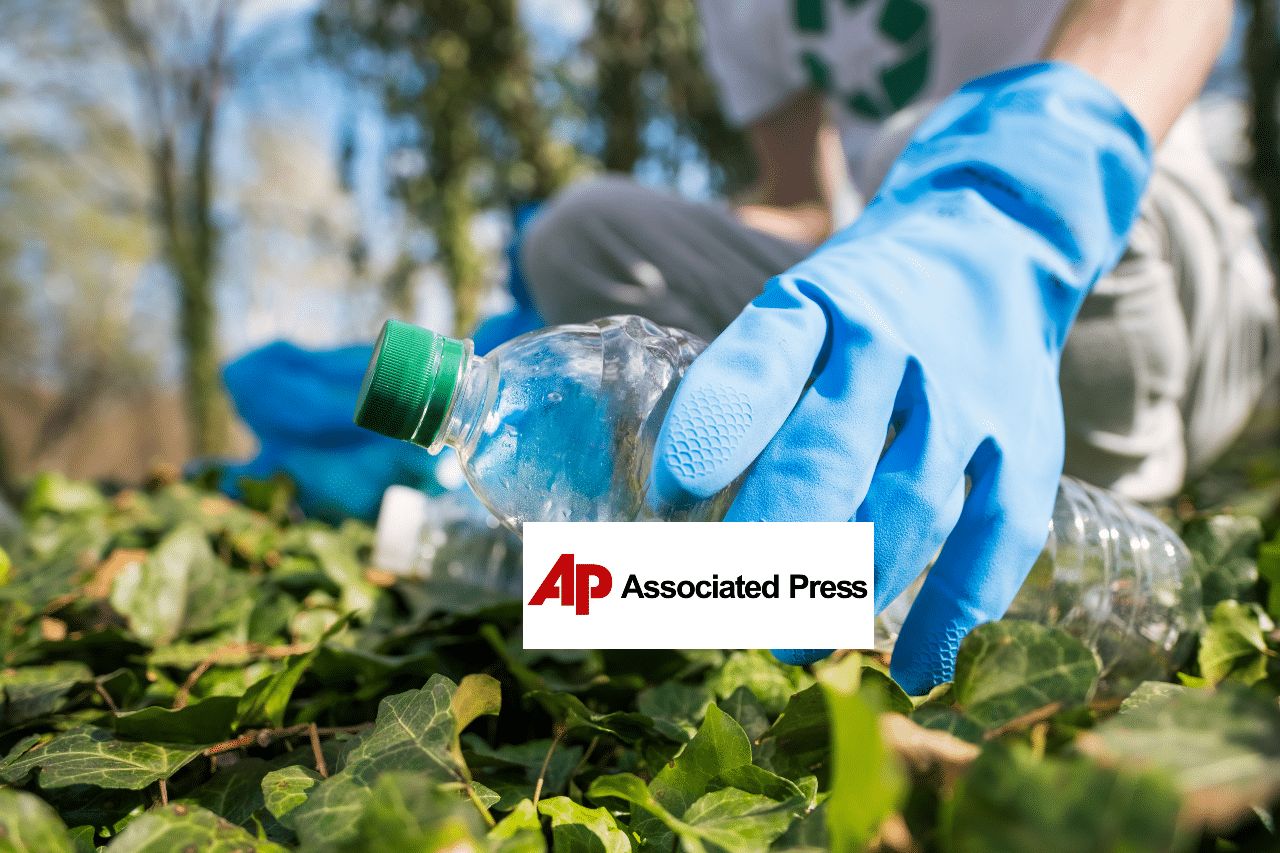 A person wearing blue gloves picks up a plastic bottle from the ground covered in green ivy leaves. The background shows trees and sunlight. The Associated Press logo is overlaid on the image.
