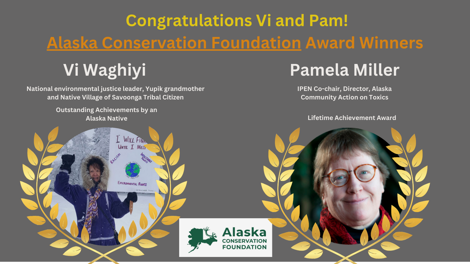 pam_vi_award