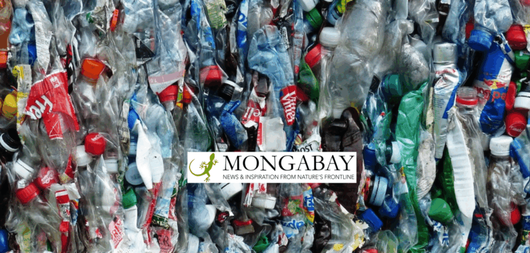 A large pile of compressed plastic bottles and containers, many with colorful caps and labels, stacked together for recycling; a Mongabay logo is placed over the center.