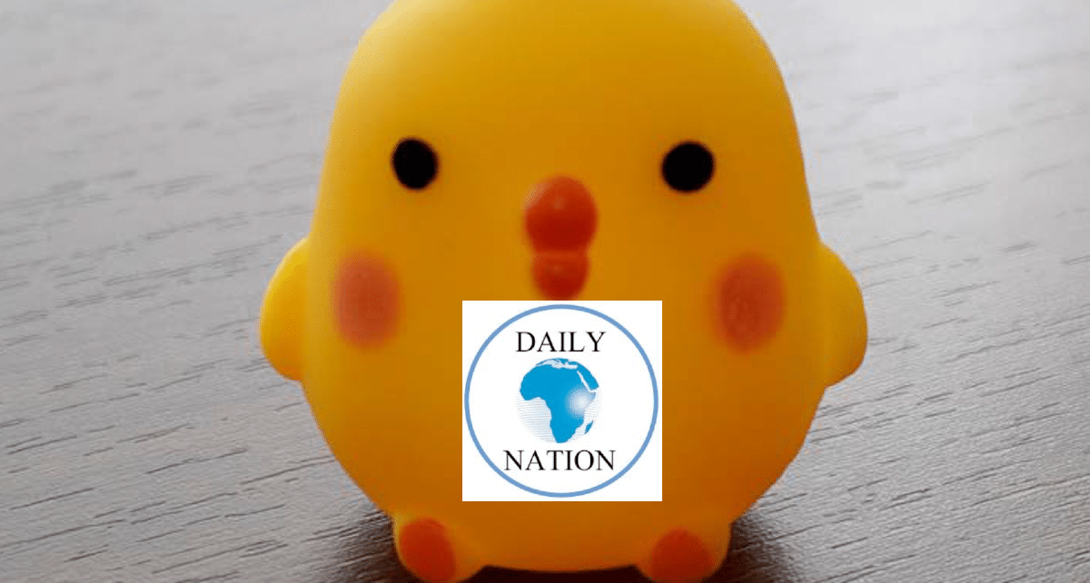 Yellow rubber duck with Daily Nation logo