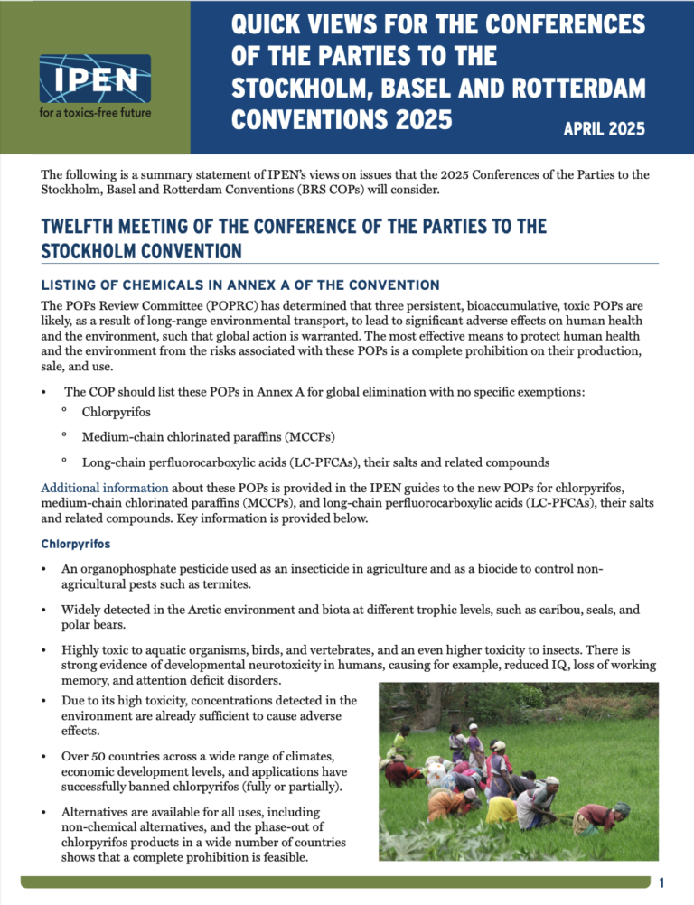 A fact sheet from IPEN summarizes issues for the 2025 Stockholm, Basel, and Rotterdam Conventions. It highlights persistent organic pollutants and lists chemicals proposed for restricted use, with bullets and contact details at the bottom.