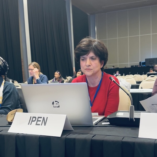 Gohar Khojayan speaking at GFC OEWG-1