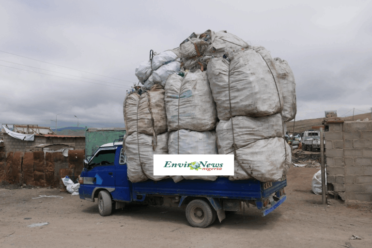 A small blue truck loaded with large, overfilled white sacks of waste is parked in a dirt lot near a brick wall and other vehicles under a cloudy sky. The sacks are stacked high above the truck’s cab.
