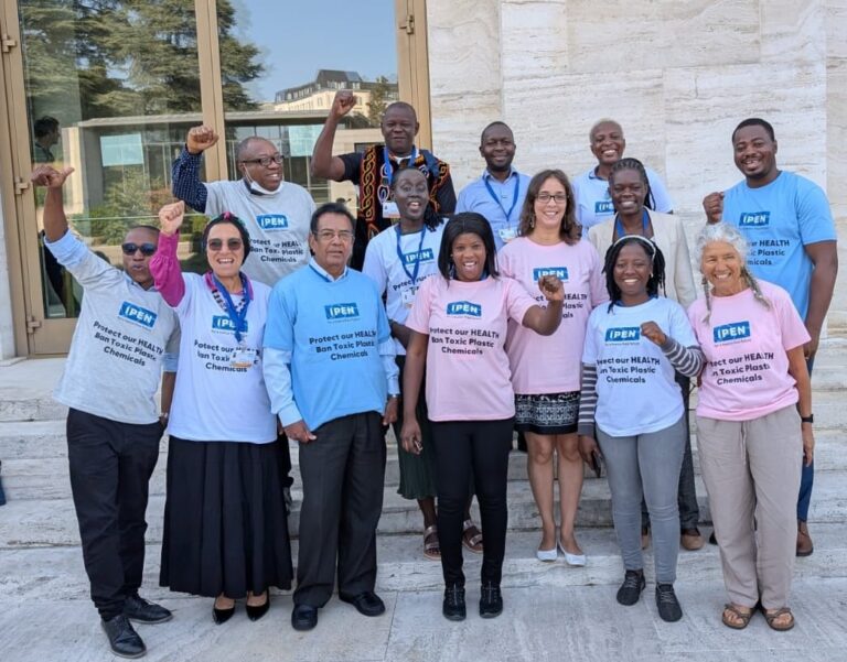 A group of fifteen people pose outside a building, smiling and raising their fists. They wear matching shirts in blue, pink, and white with messages about protecting health from toxic plastic chemicals.