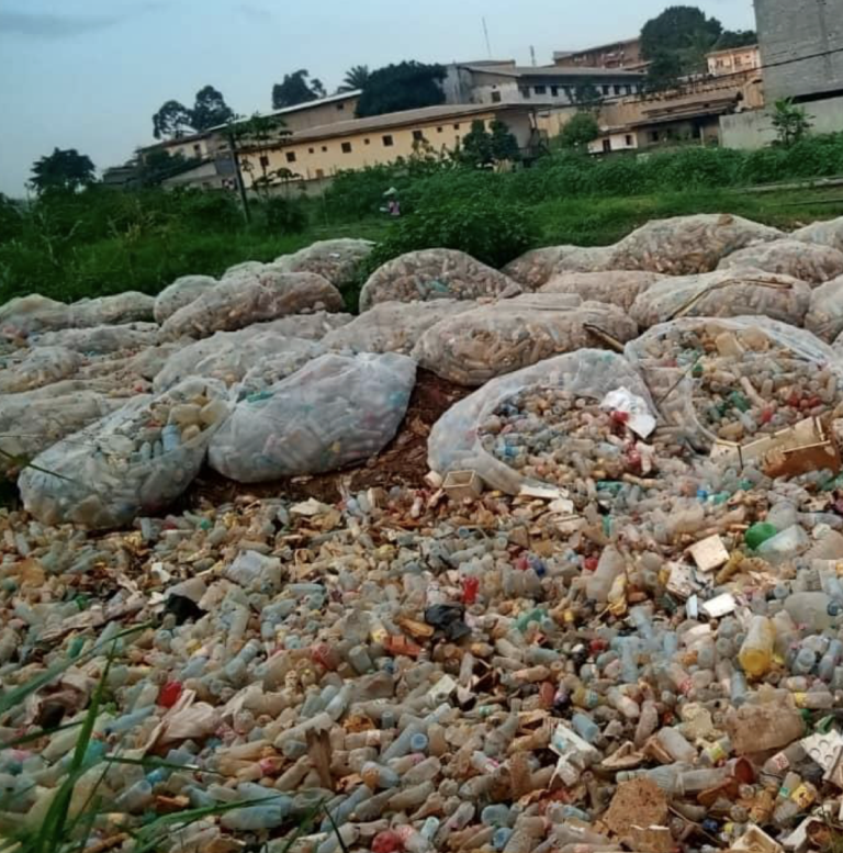 Large plastic bags filled with empty plastic bottles are arranged outdoors on grassy ground, with many loose plastic bottles scattered in front. Buildings and trees are visible in the background under a cloudy sky.