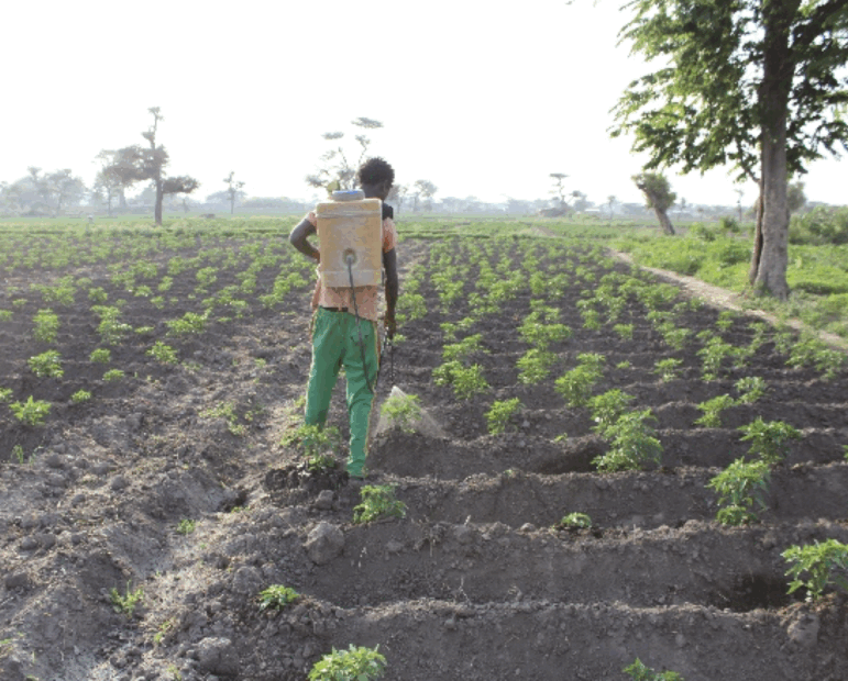 pamje_ekrani_2025-11-13_në_3