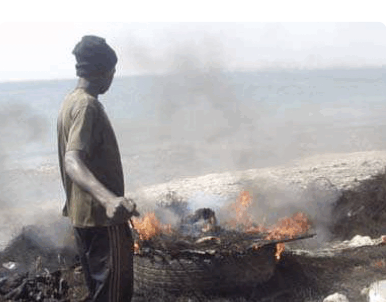 screenshot_2025-11-13_at_9