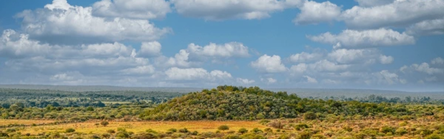 A low, green hill is surrounded by flat, grassy land with patches of shrubs under a partly cloudy sky. The landscape extends to a distant horizon with scattered trees and a blue sky above.