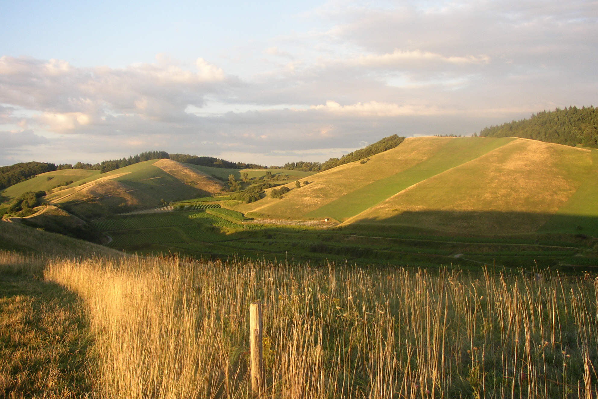 Rolling green hills under a partly cloudy sky, with sunlight casting long shadows. Tall grass and a wooden post are visible in the foreground, and clusters of trees are scattered in the background.