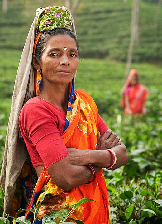 A woman wearing a colorful saree and traditional headscarf stands with her arms crossed in a green field, with another person blurred in the background.