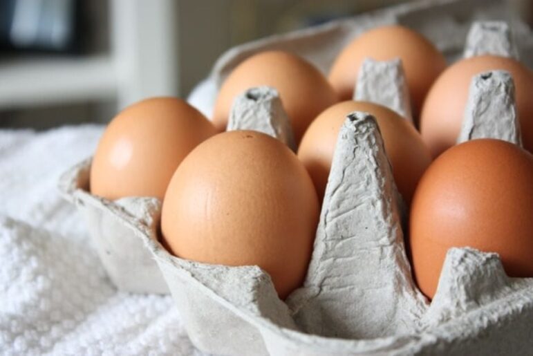 A close-up view of brown eggs arranged in a gray cardboard egg carton, with a textured white cloth in the background.