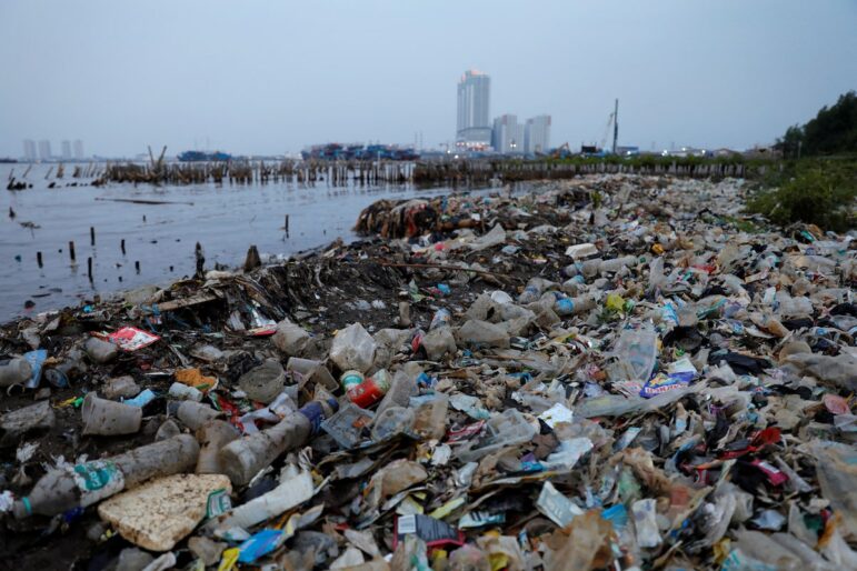 A polluted shoreline covered with plastic bottles, bags, and various debris, with wooden stakes in the water and tall city buildings visible in the distance under a cloudy sky.