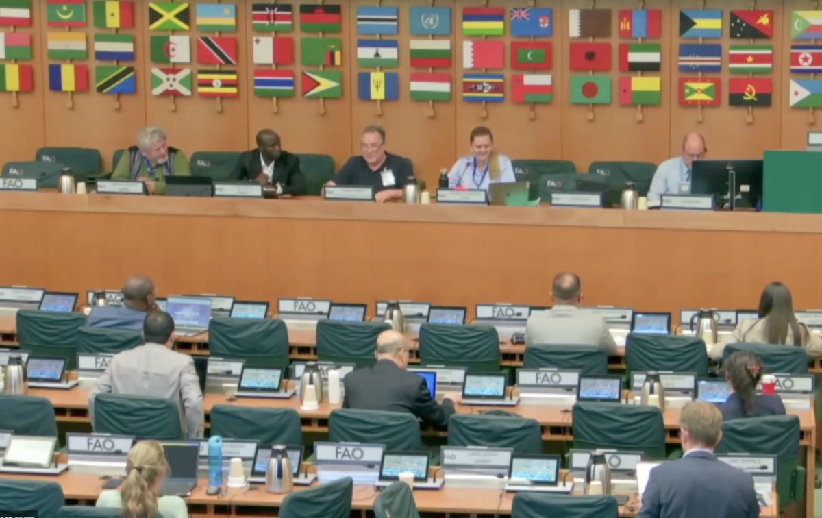 O painel no evento POPRC do IPEN, com muitas bandeiras de países atrás dos membros do painel