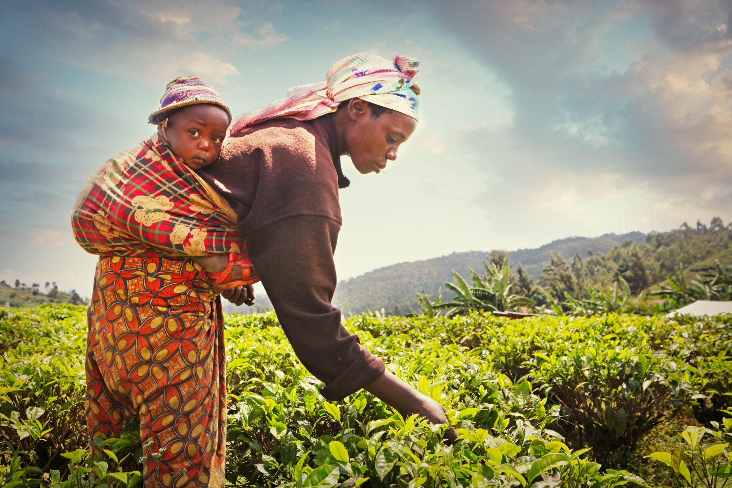 African woman farming with baby on her back