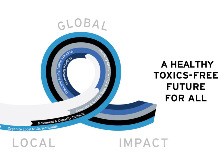 A looped graphic connects “Local” and “Impact” with sections labeled for NGOs, movement building, science and policy, and prevention. Large text reads “A Healthy Toxics-Free Future for All”. “Global” is written above the loop.