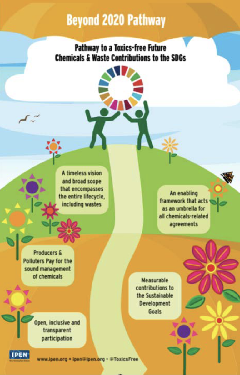 an IPEN infographic on SAICM beyond 2020