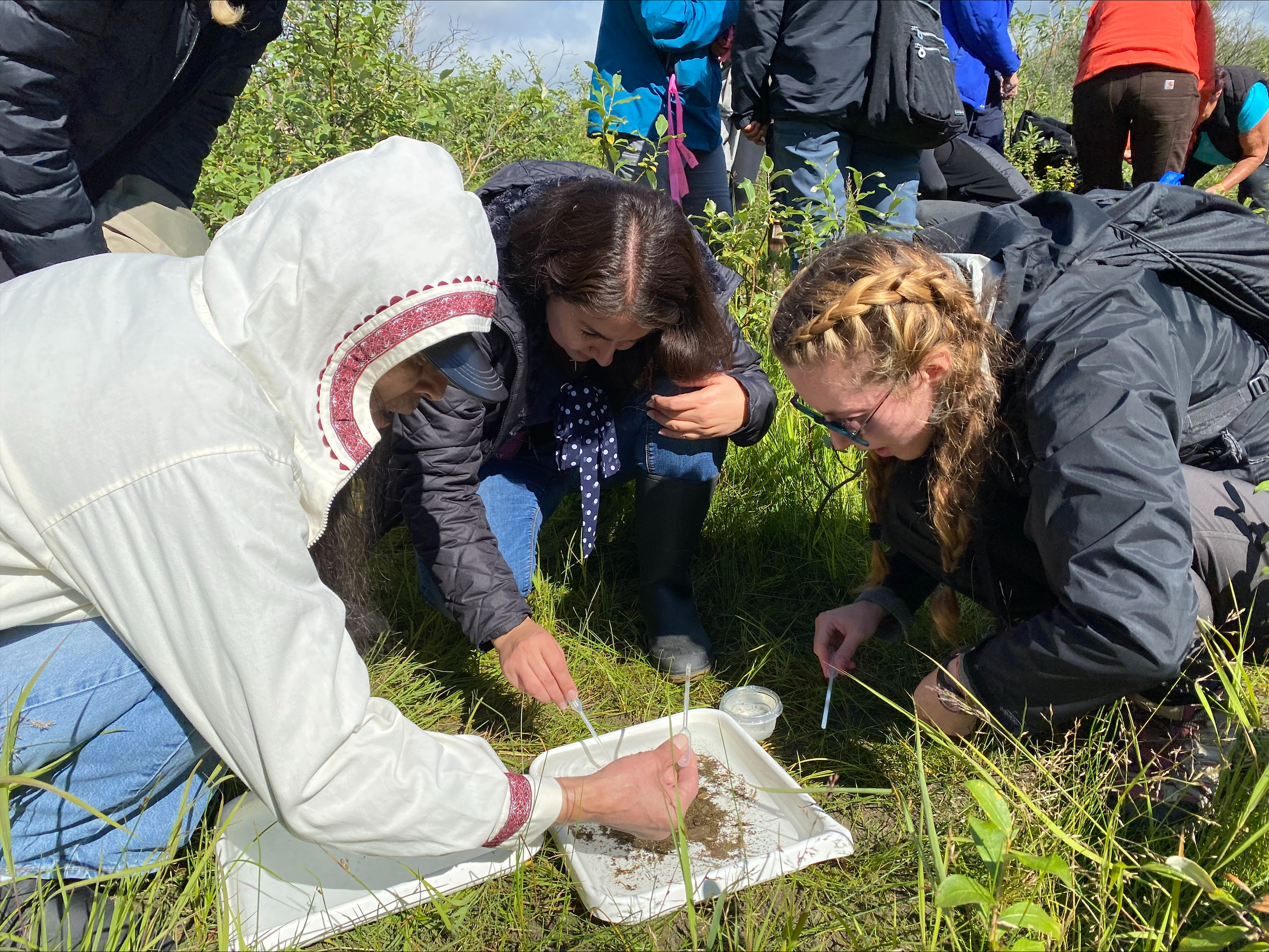 Three people crouch outdoors in a grassy area, examining and sorting small natural objects on a white tray. Other people stand in the background, and the scene appears to be a group field activity.