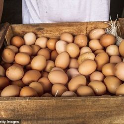 A person holds a large wooden crate filled with brown eggs.