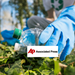 A person wearing blue gloves picks up a plastic bottle from the ground covered in green ivy leaves. The background shows trees and sunlight. The Associated Press logo is overlaid on the image.