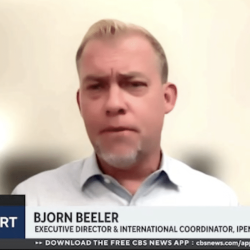 A man with short blond hair and a trimmed beard, wearing a light blue collared shirt, appears on a news broadcast titled The Daily Report. Text on the screen identifies him as Bjorn Beeler, Executive Director & International Coordinator, IPEN.