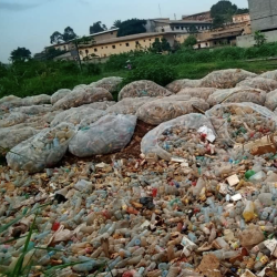 Large plastic bags filled with empty plastic bottles are arranged outdoors on grassy ground, with many loose plastic bottles scattered in front. Buildings and trees are visible in the background under a cloudy sky.