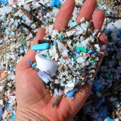 A hand holds a mixture of colorful plastic fragments and small debris, with more scattered plastic pieces covering the ground in the background.
