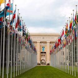 Rows of international flags line a pathway leading to the entrance of a large beige building with “United Nations” written above the doors; the sky is partly cloudy.